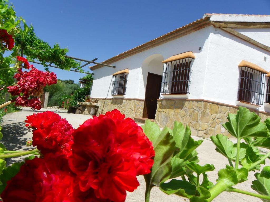 لا خويا Casa Rural La Parada المظهر الخارجي الصورة